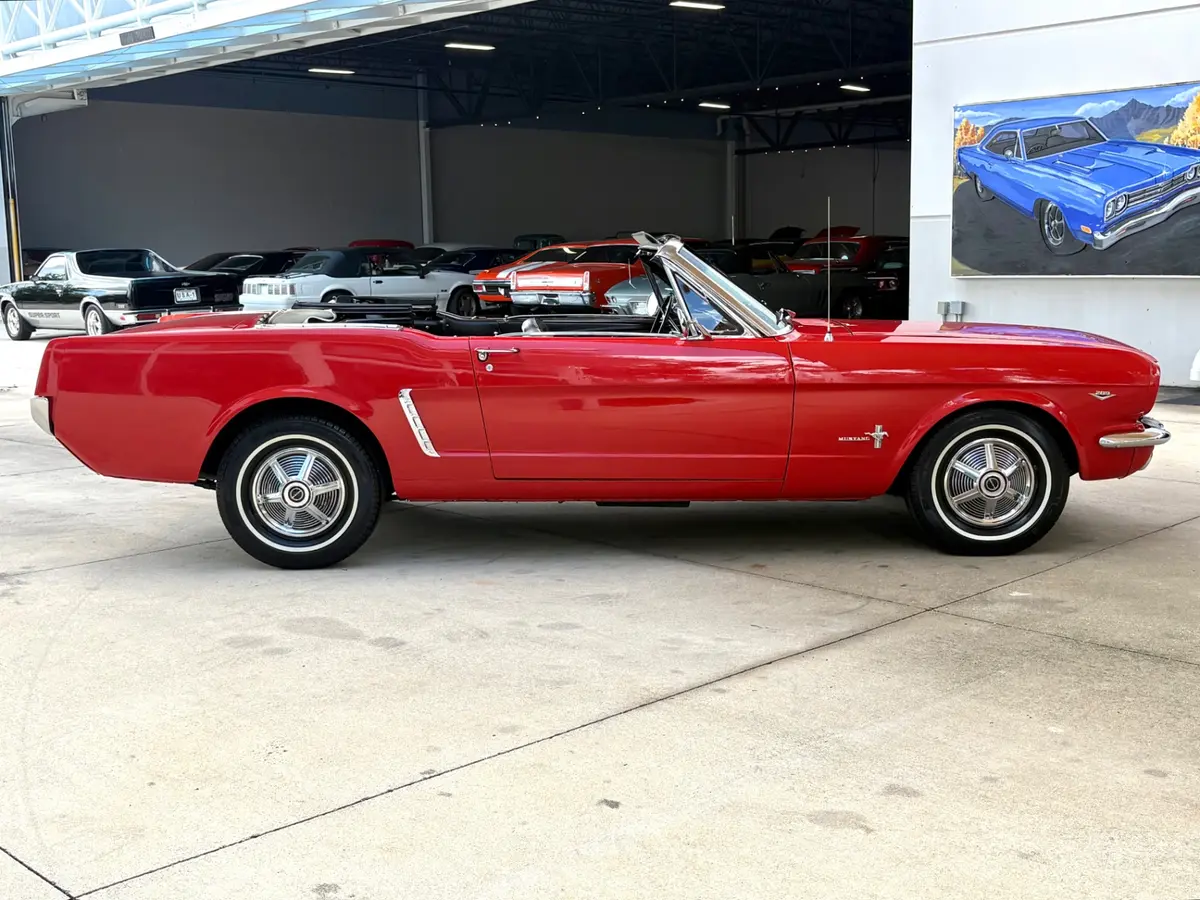 Vehicle photo 5