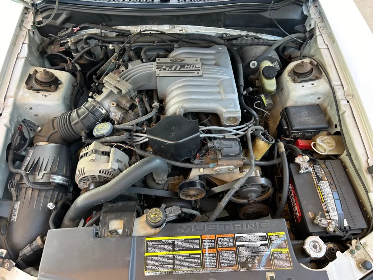 Vehicle photo 19