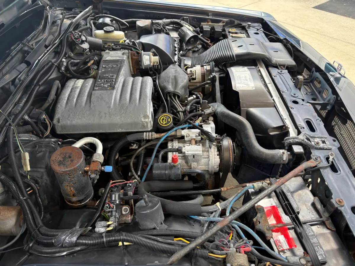 Vehicle photo 25