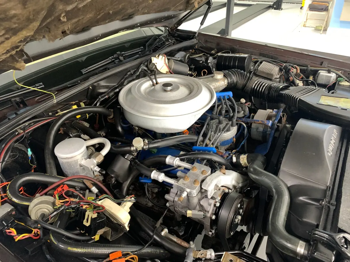 Vehicle photo 15