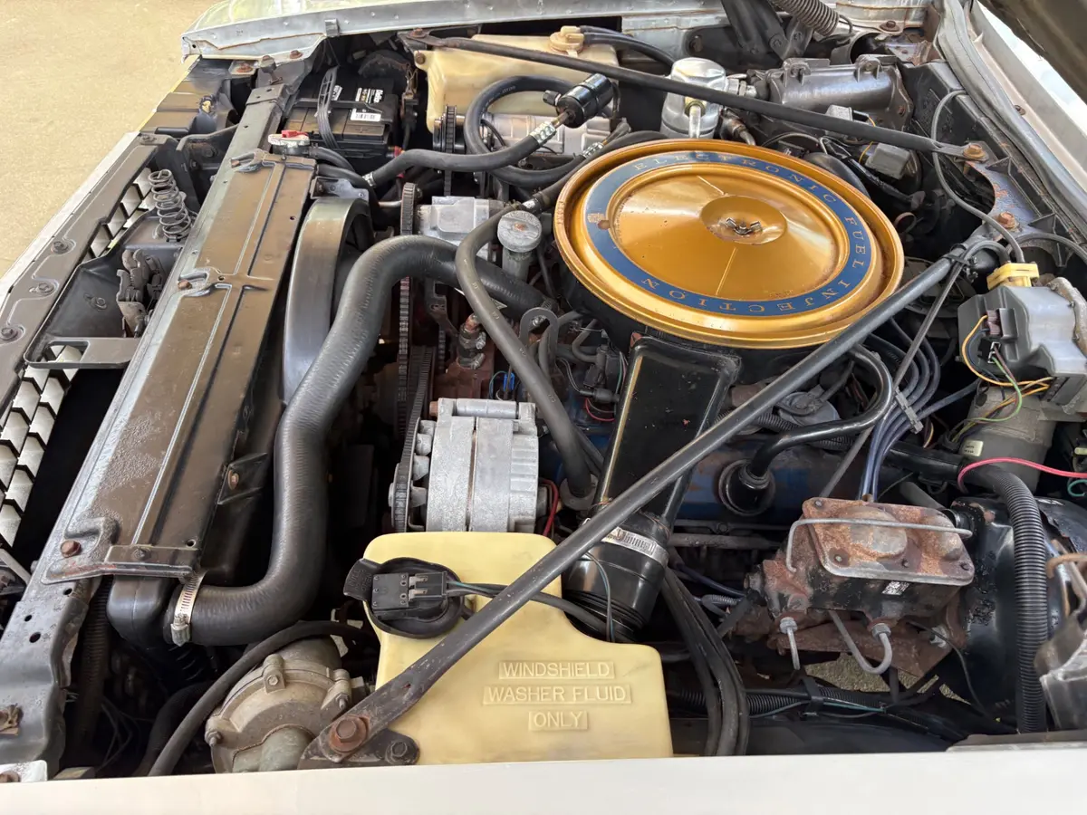 Vehicle photo 31