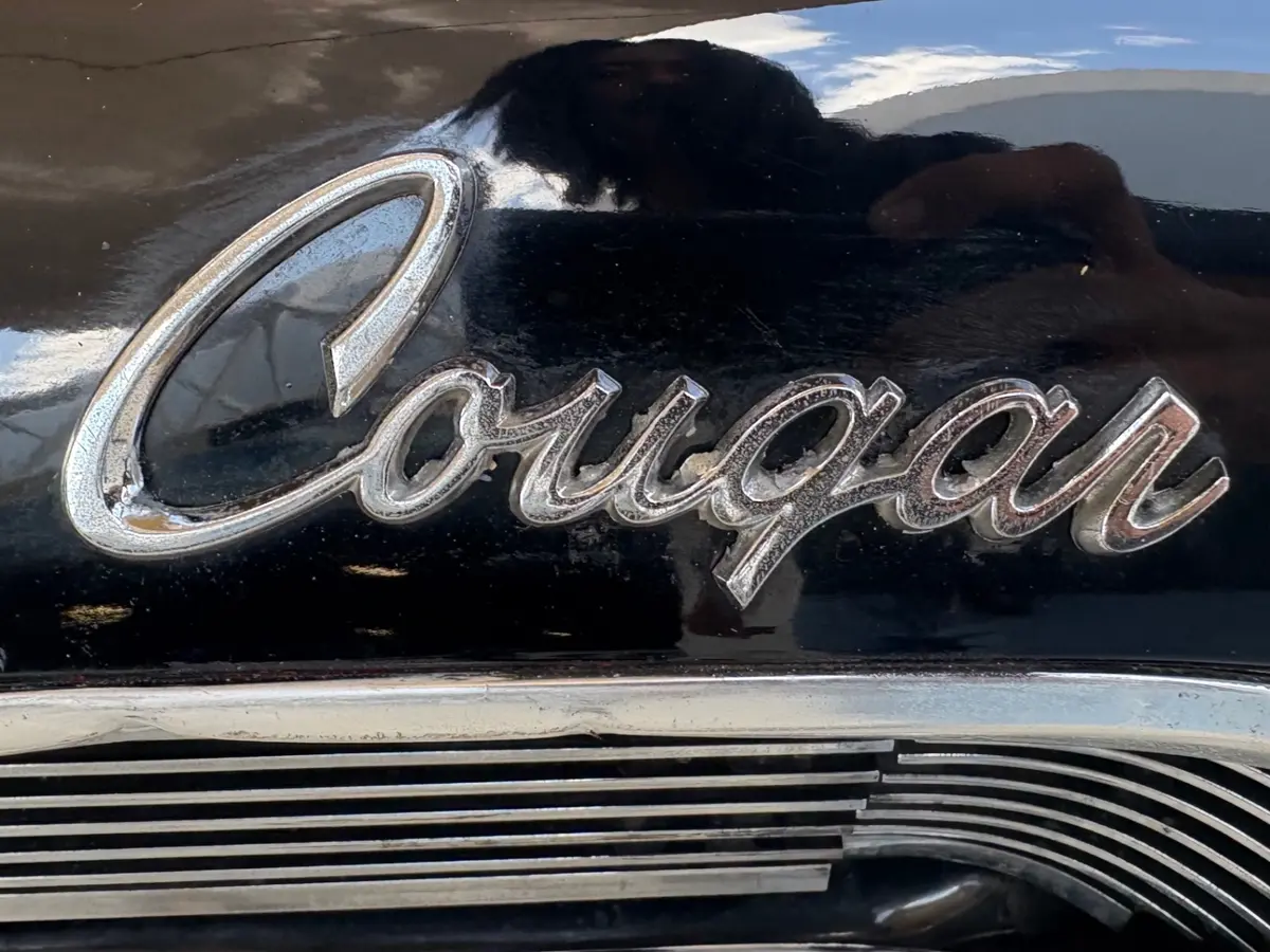 Vehicle photo 23