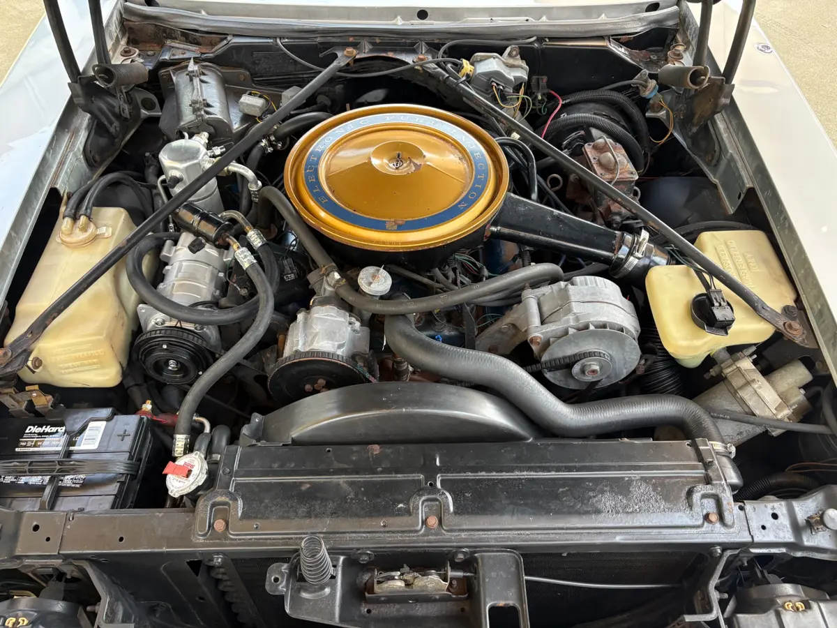Vehicle photo 29