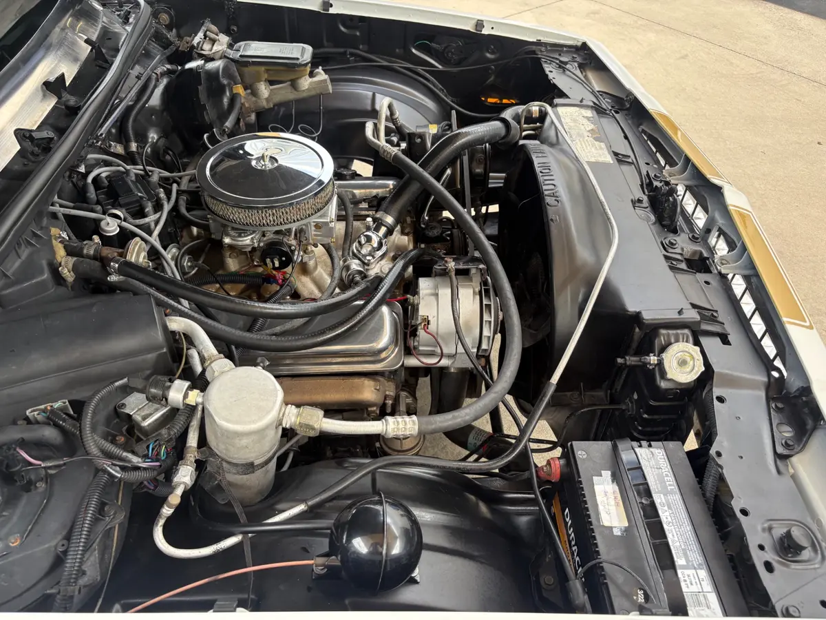 Vehicle photo 24