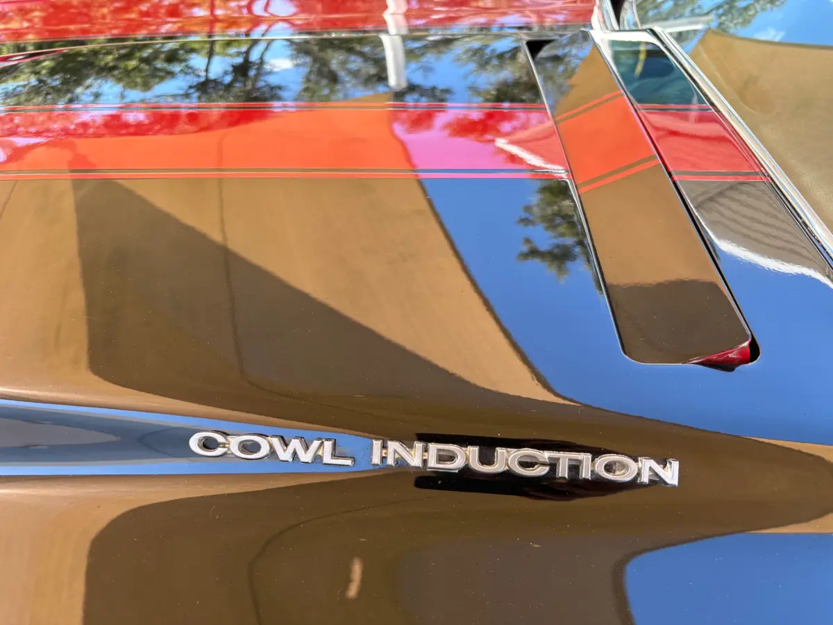 Vehicle photo 24