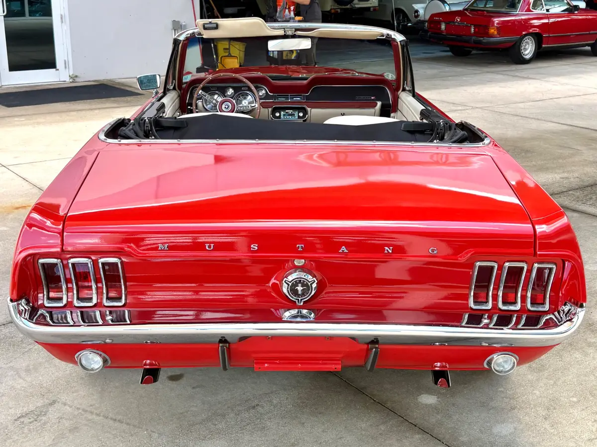 Vehicle photo 8