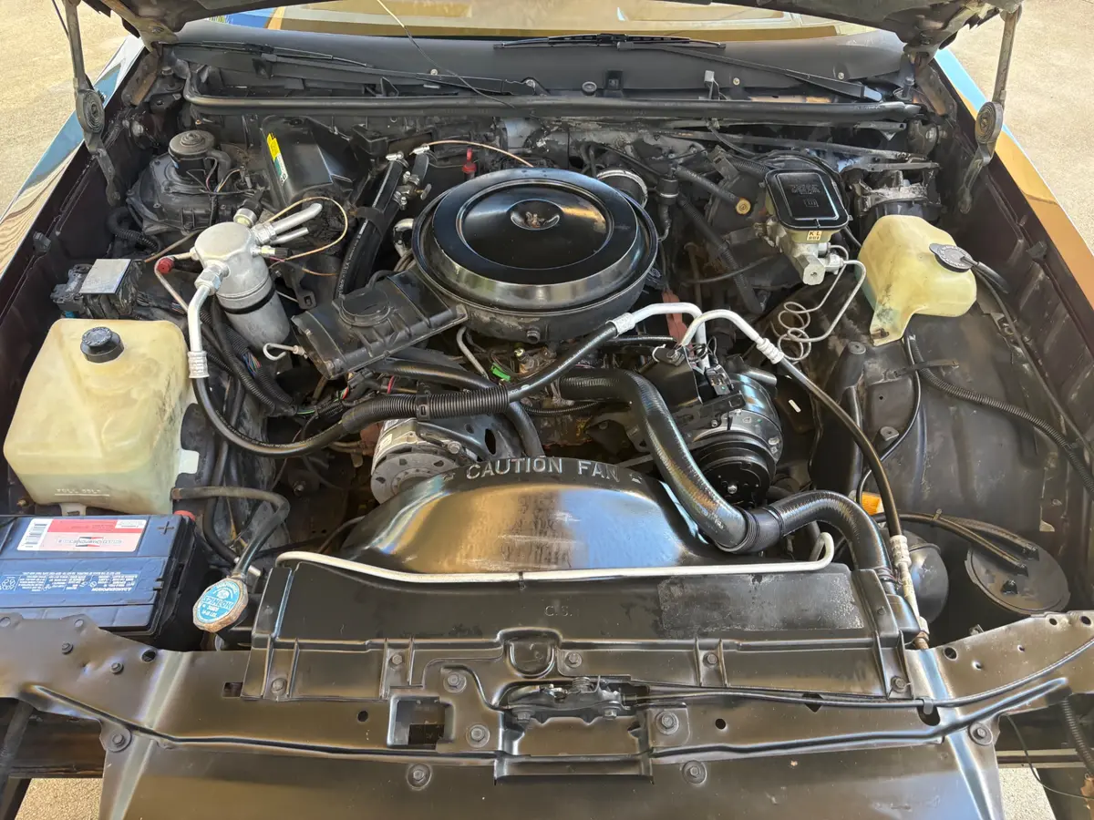 Vehicle photo 25