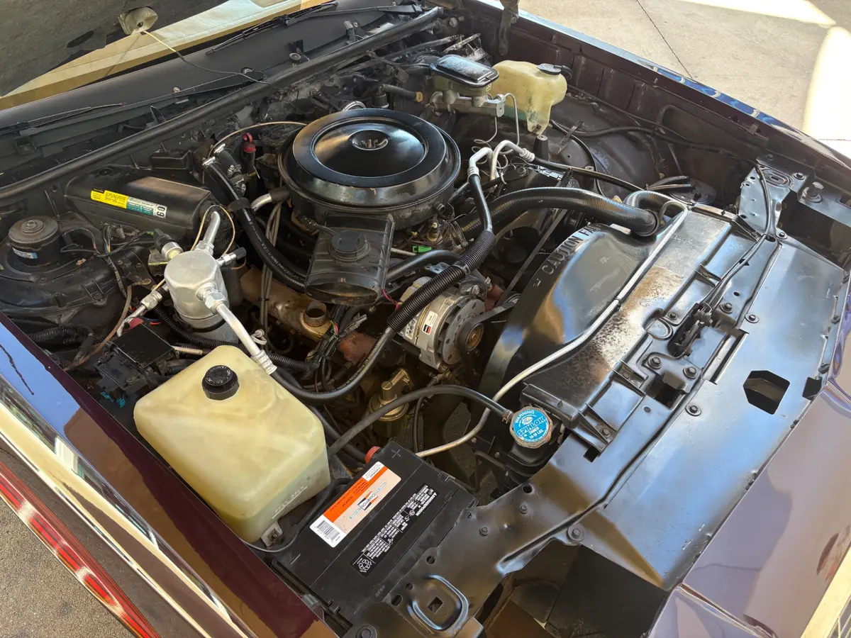 Vehicle photo 24