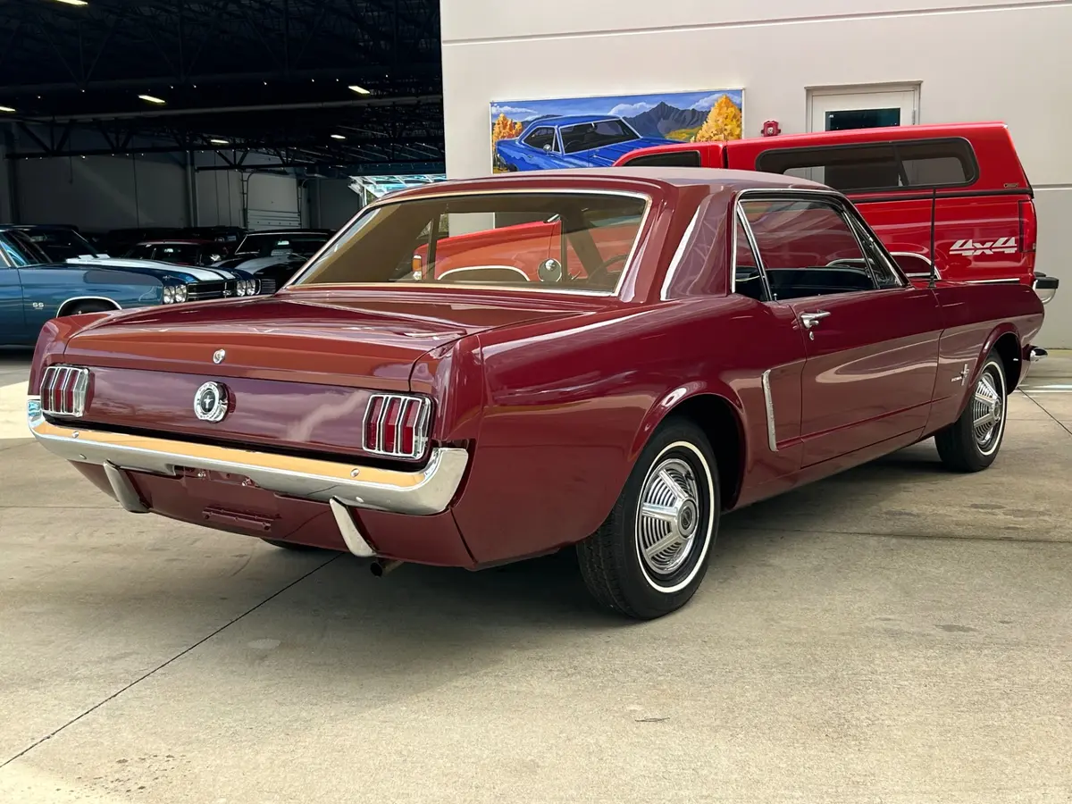 Vehicle photo 5