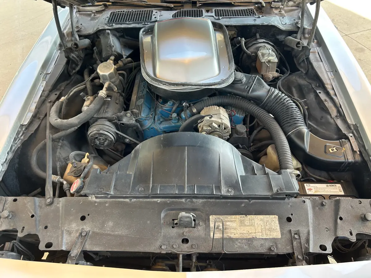 Vehicle photo 18