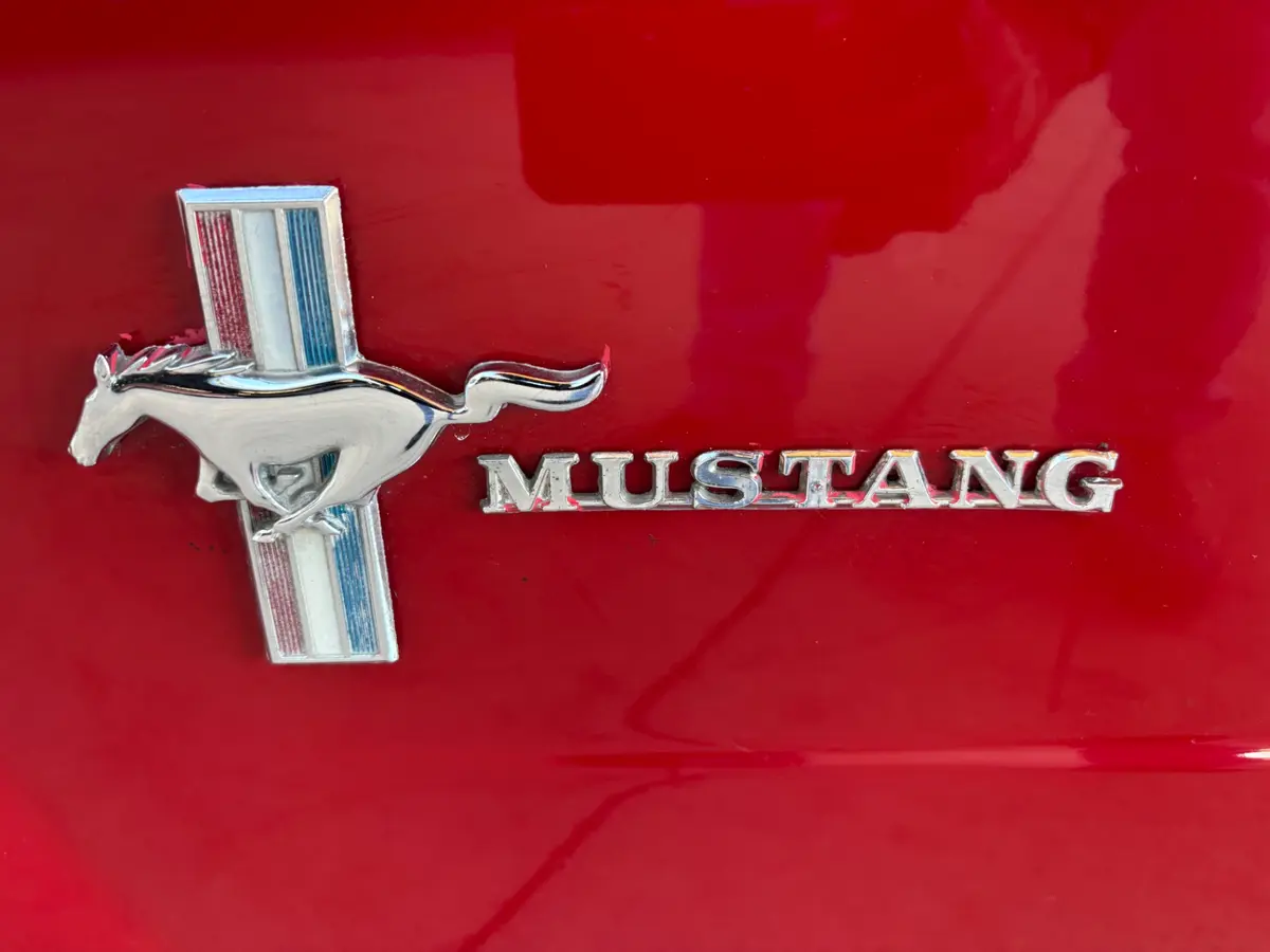 Vehicle photo 23