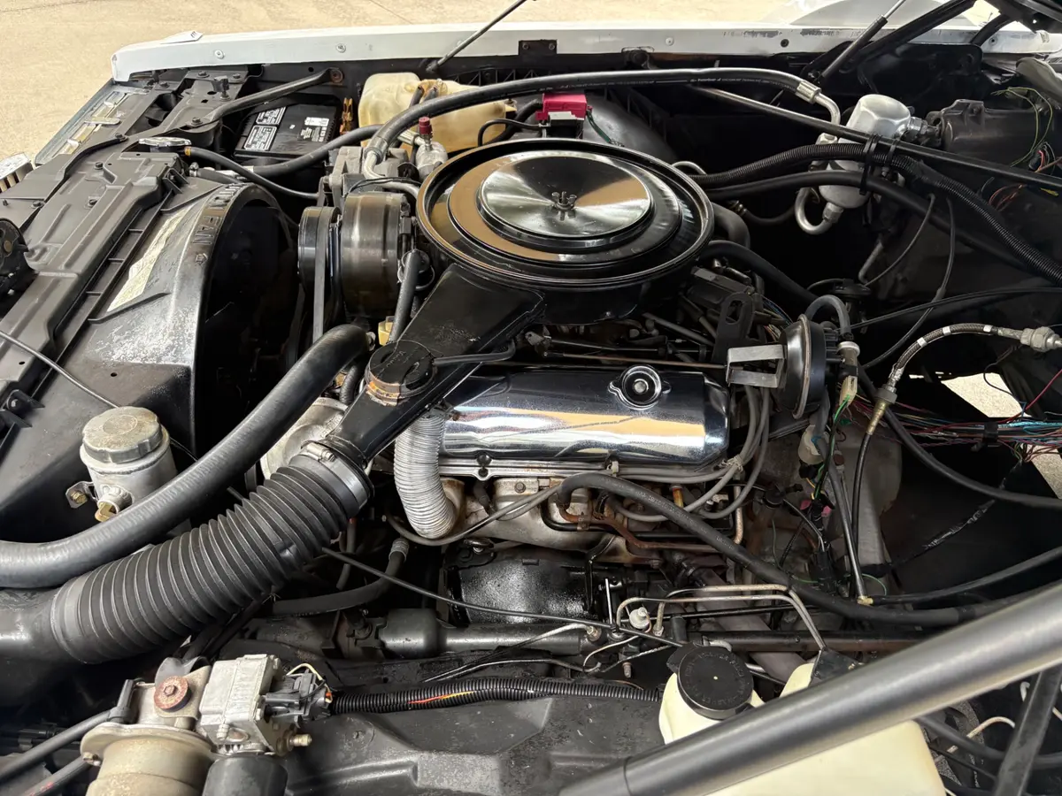 Vehicle photo 31
