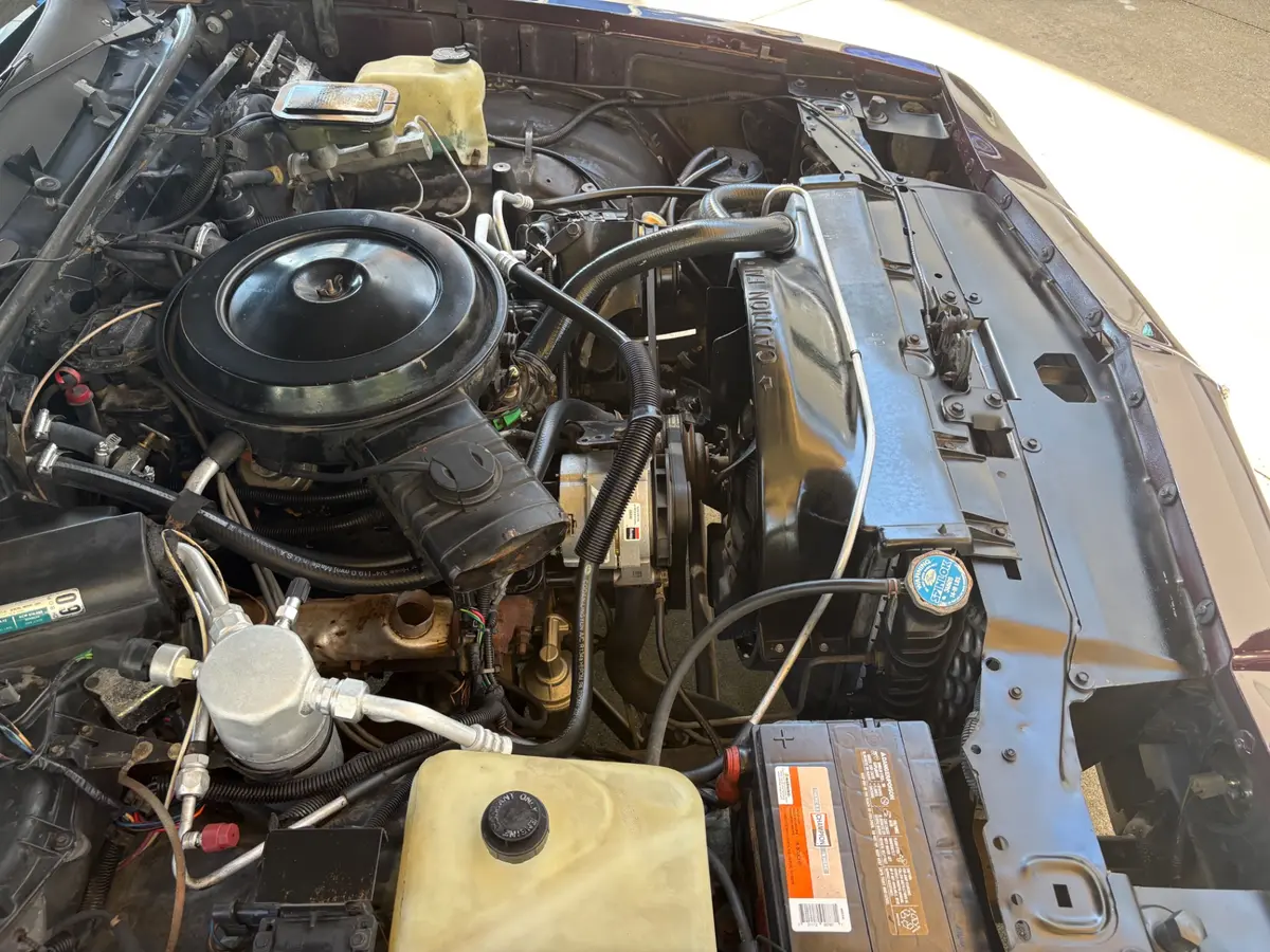 Vehicle photo 23