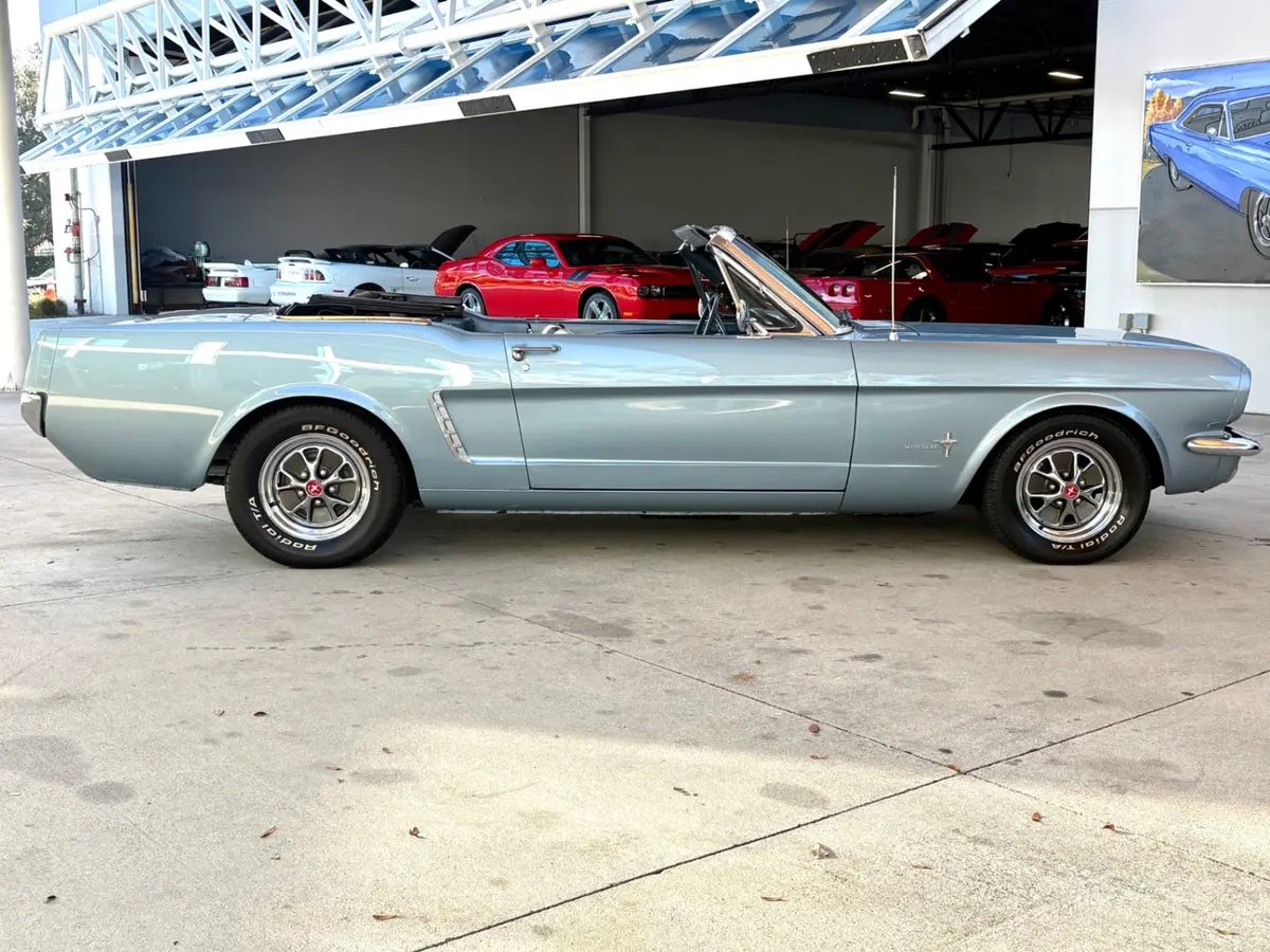 Vehicle photo 5