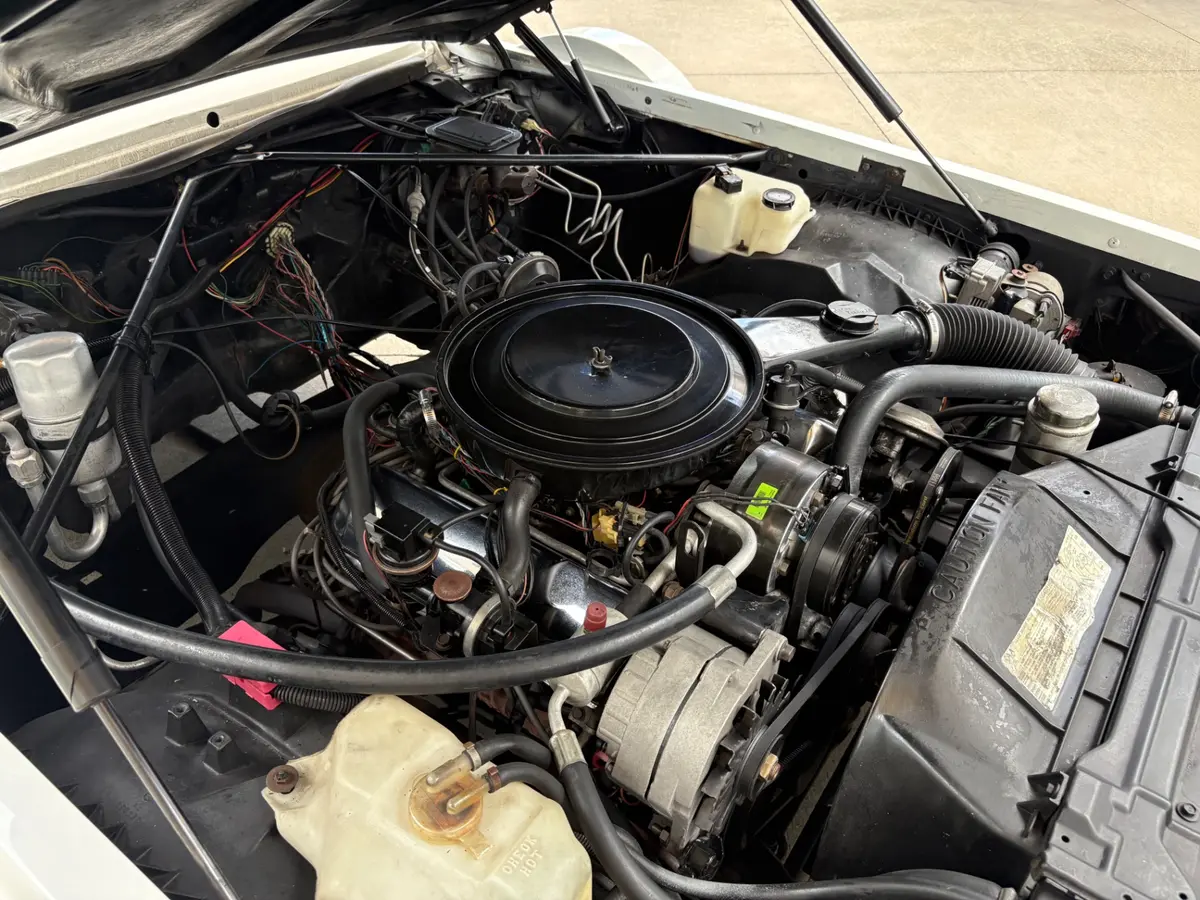 Vehicle photo 28